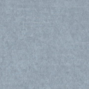 Ambassador