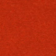 Ambassador