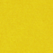 Ambassador