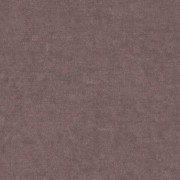 Ambassador