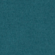 Ambassador