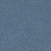 Ambassador