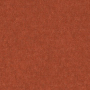Ambassador