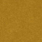 Ambassador