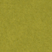 Ambassador