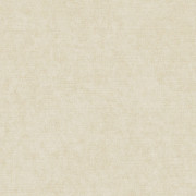Ambassador