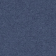 Ambassador