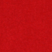 Ambassador