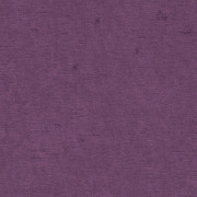Ambassador