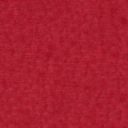 Ambassador