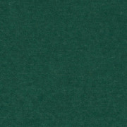 Ambassador