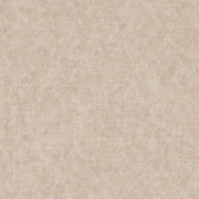 Ambassador