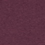 Ambassador
