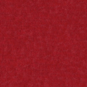 Ambassador