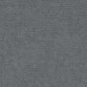 Ambassador