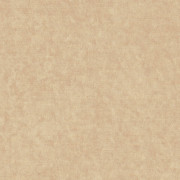 Ambassador