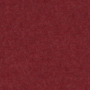 Ambassador
