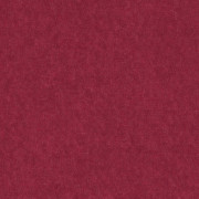 Ambassador