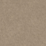Ambassador