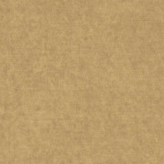 Ambassador