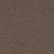 Ambassador