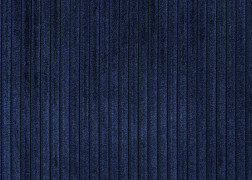 BENU VELVET STRIPE REC.FR