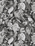 Wallpaper Botanica