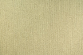 Elam