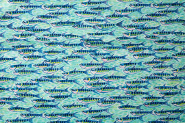IKAN