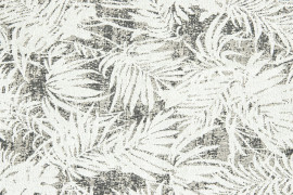 Palmera