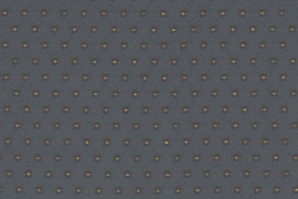 RED DOT