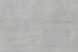Silenzio