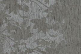 Sycamore