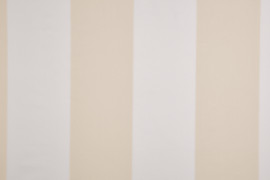 Taffeta Stripe