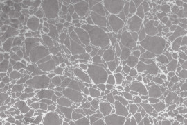 Velvet Marble 