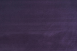 Visconte III