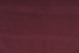 Visconte III