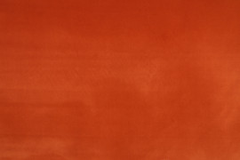 Visconte III