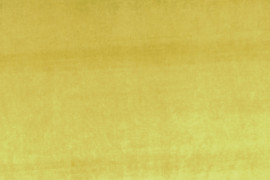 Vitus