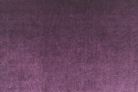 Vitus