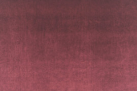 Vitus