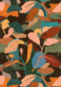 Tagua Wallpaper