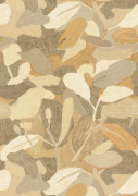 Tagua Wallpaper