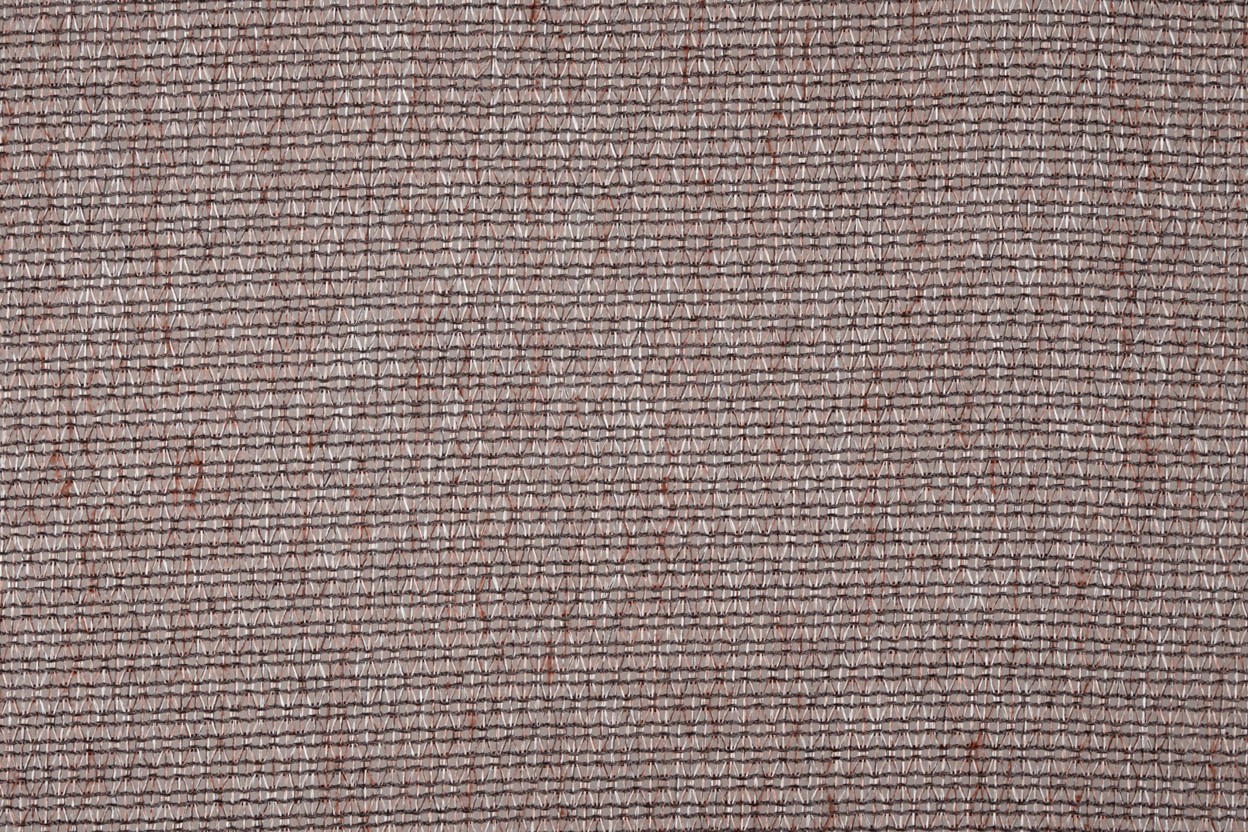 Lupo - Fischbacher 1819
